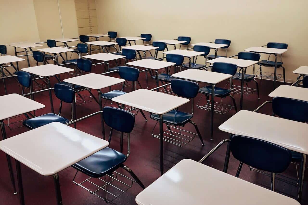 Gestion nuisibles pour établissements scolaires