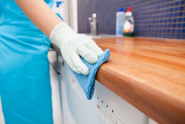 Services de lutte antiparasitaire pour particuliers