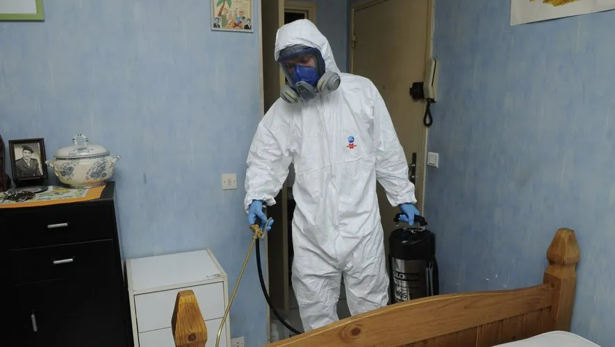 Comment repérer une infestation de punaises de lit