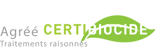 Dératisation et désinsectisation à Bordeaux